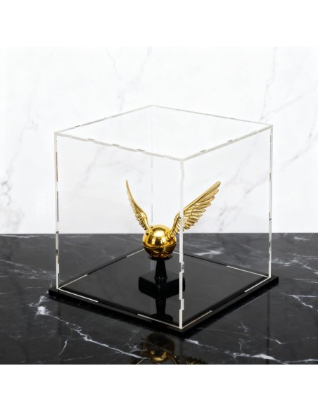 Teca in plexiglass con boccino d'oro