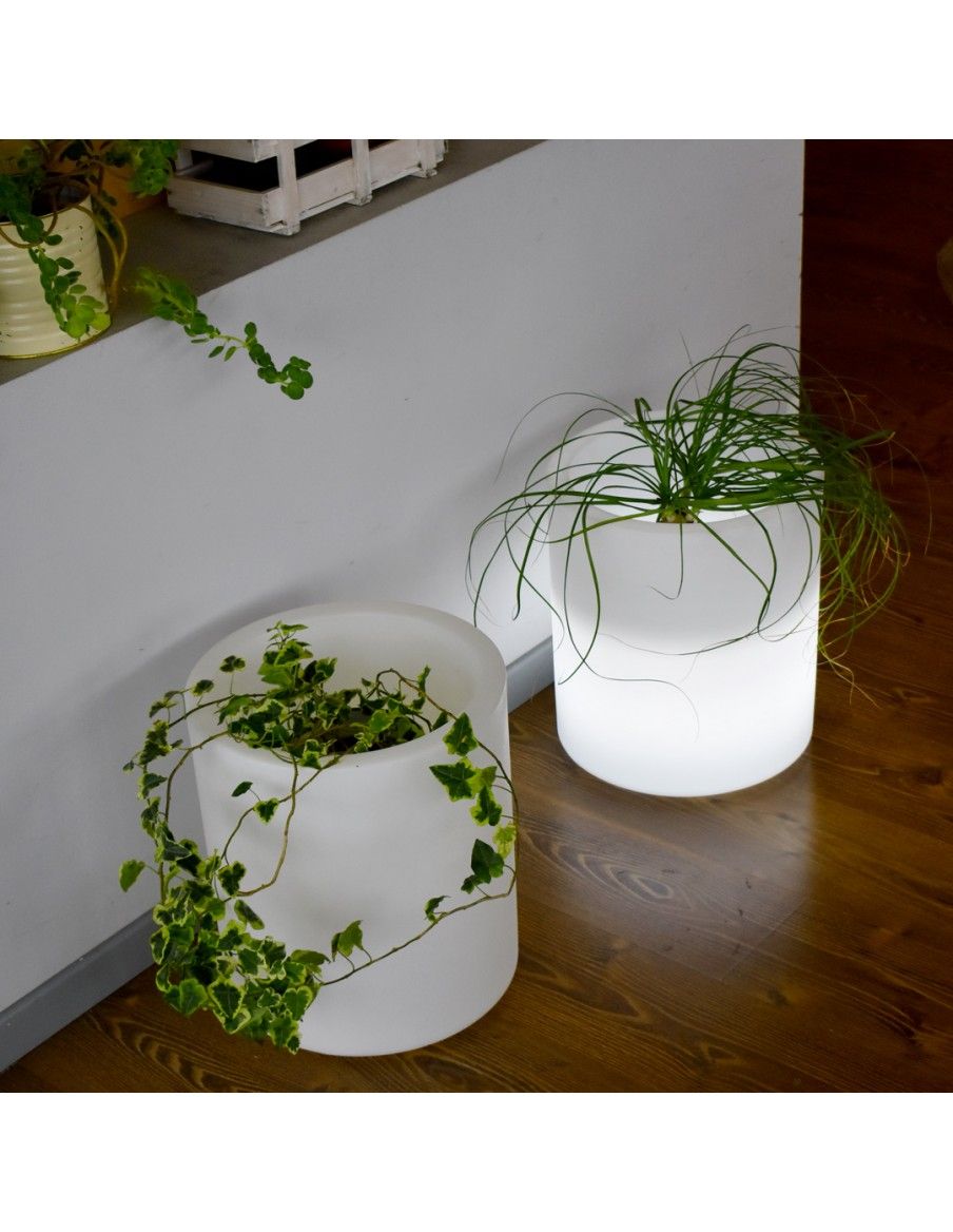 Vasi luminosi per fiori da interno