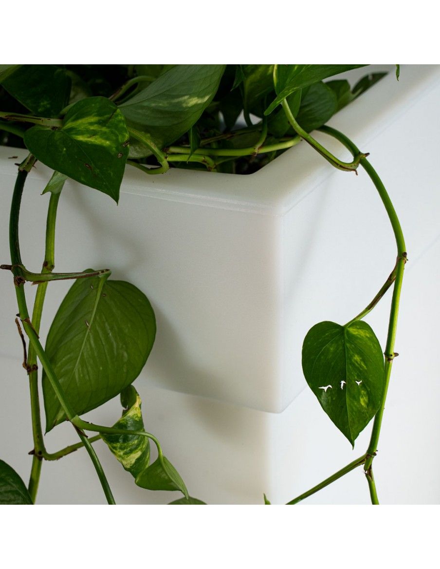 vaso da esterno per piante in resina