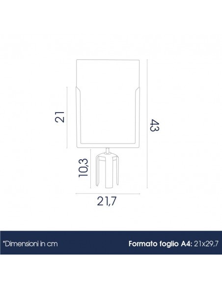 Dimensione espositore