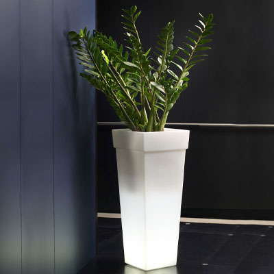 vaso luminoso da interno