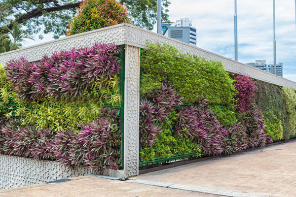 giardino verticale